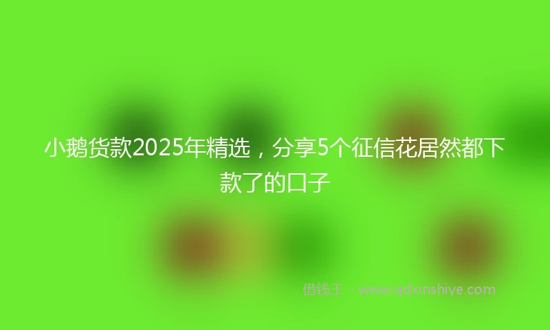 小鹅货款2025年精选，分享5个征信花居然都下款了的口子