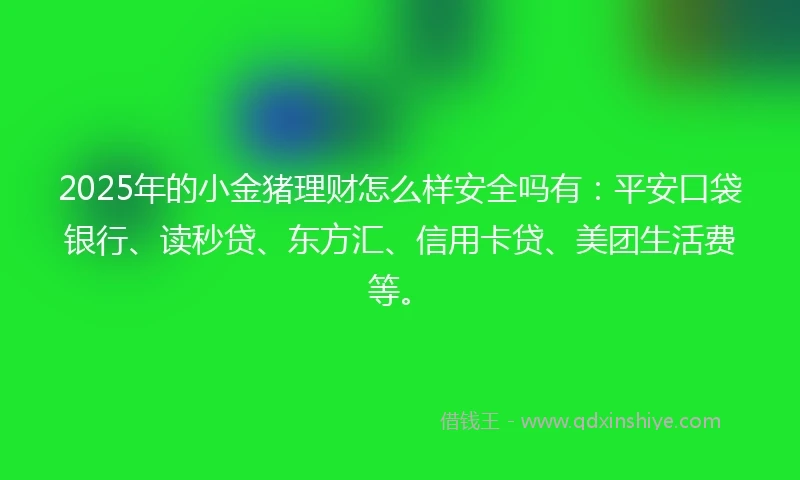 2025年的小金猪理财怎么样安全吗有：平安口袋银行、读秒贷、东方汇、信用卡贷、美团生活费等。