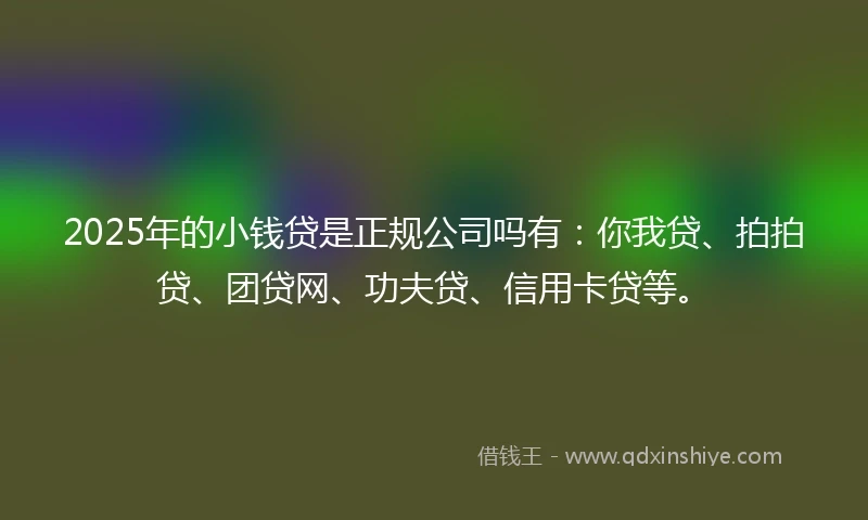 2025年的小钱贷是正规公司吗有：你我贷、拍拍贷、团贷网、功夫贷、信用卡贷等。
