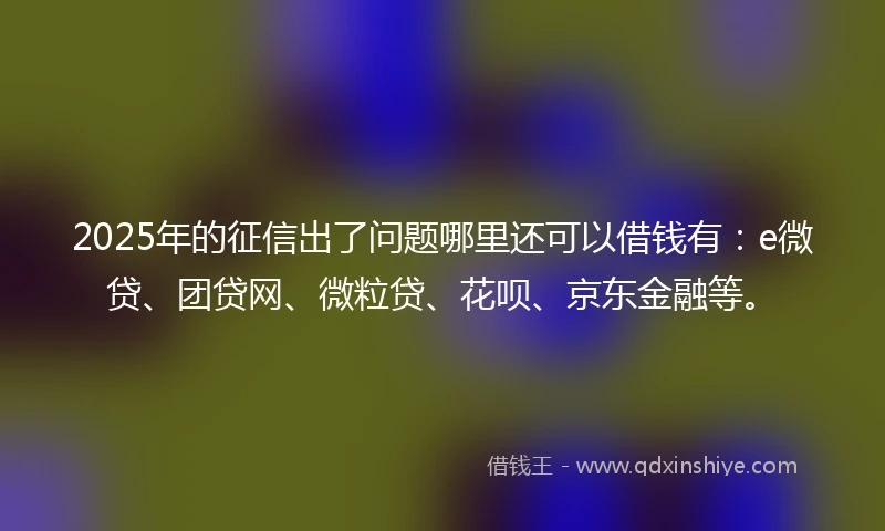 2025年的征信出了问题哪里还可以借钱有：e微贷、团贷网、微粒贷、花呗、京东金融等。