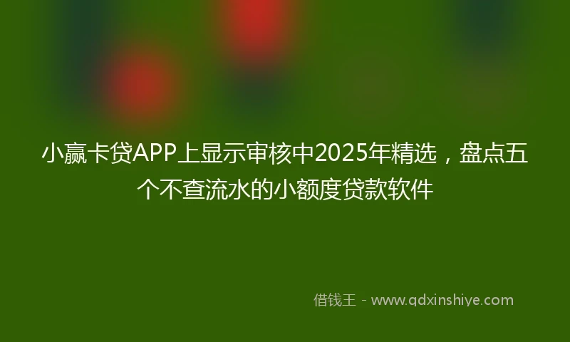 小赢卡贷APP上显示审核中2025年精选，盘点五个不查流水的小额度贷款软件