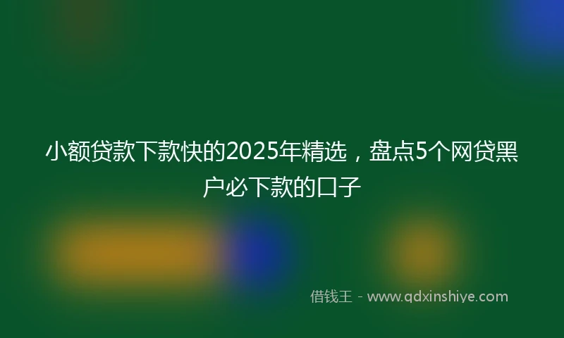 小额贷款下款快的2025年精选，盘点5个网贷黑户必下款的口子