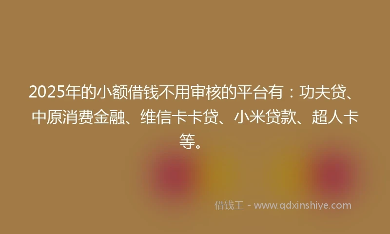 2025年的小额借钱不用审核的平台有：功夫贷、中原消费金融、维信卡卡贷、小米贷款、超人卡等。