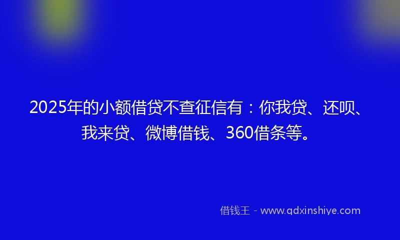 2025年的小额借贷不查征信有：你我贷、还呗、我来贷、微博借钱、360借条等。