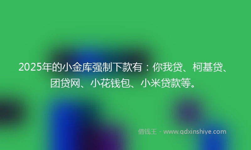 2025年的小金库强制下款有：你我贷、柯基贷、团贷网、小花钱包、小米贷款等。