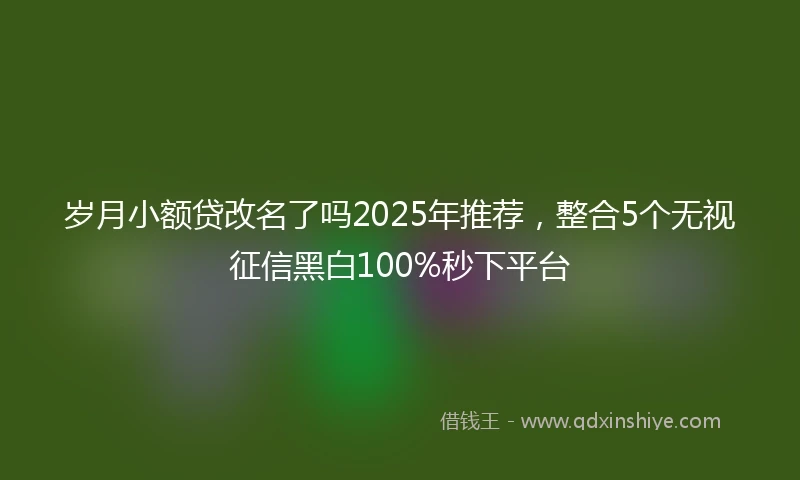 岁月小额贷改名了吗2025年推荐,整合5个无视征信黑白100%秒下平台