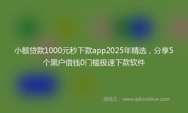 小额贷款1000元秒下款app2025年精选，分享5个黑户借钱0门槛极速下款软件