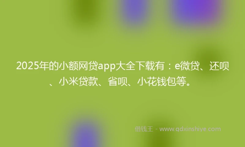 2025年的小额网贷app大全下载有：e微贷、还呗、小米贷款、省呗、小花钱包等。