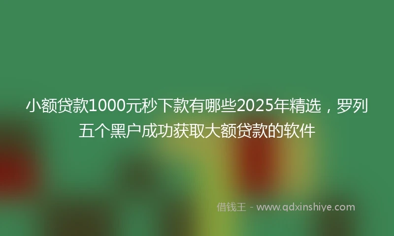 小额贷款1000元秒下款有哪些2025年精选，罗列五个黑户成功获取大额贷款的软件