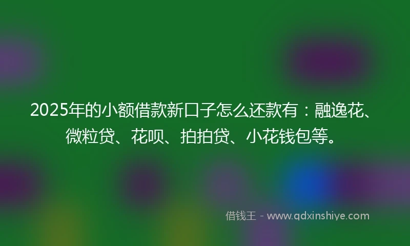 2025年的小额借款新口子怎么还款有：融逸花、微粒贷、花呗、拍拍贷、小花钱包等。