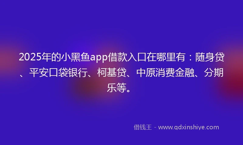2025年的小黑鱼app借款入口在哪里有：随身贷、平安口袋银行、柯基贷、中原消费金融、分期乐等。