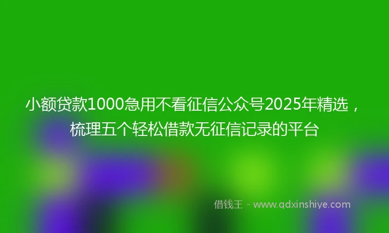 小额贷款1000急用不看征信公众号2025年精选，梳理五个轻松借款无征信记录的平台