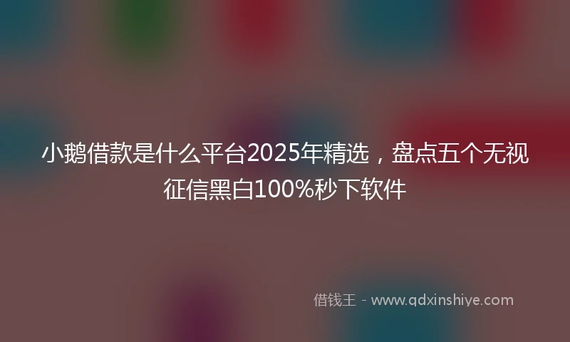 小鹅借款是什么平台2025年精选，盘点五个无视征信黑白100%秒下软件