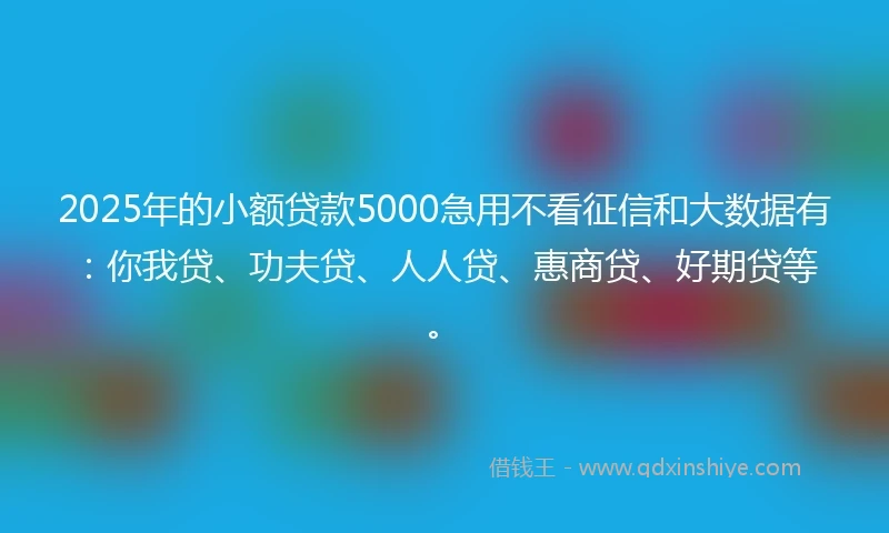 2025年的小额贷款5000急用不看征信和大数据有：你我贷、功夫贷、人人贷、惠商贷、好期贷等。