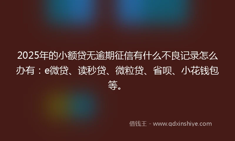 2025年的小额贷无逾期征信有什么不良记录怎么办有：e微贷、读秒贷、微粒贷、省呗、小花钱包等。