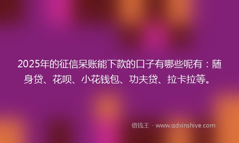 2025年的征信呆账能下款的口子有哪些呢有：随身贷、花呗、小花钱包、功夫贷、拉卡拉等。