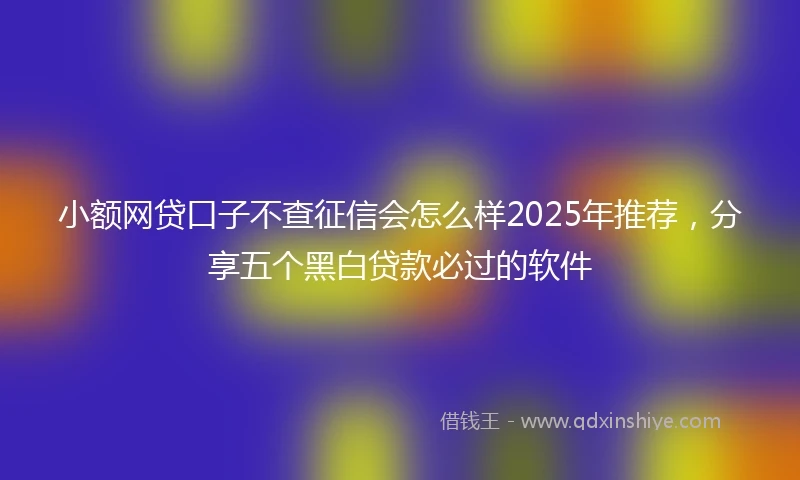 小额网贷口子不查征信会怎么样2025年推荐，分享五个黑白贷款必过的软件