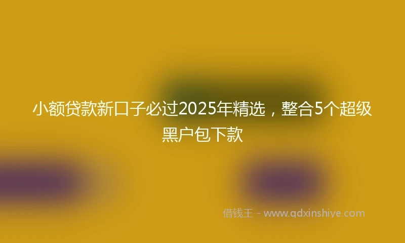 小额贷款新口子必过2025年精选，整合5个超级黑户包下款