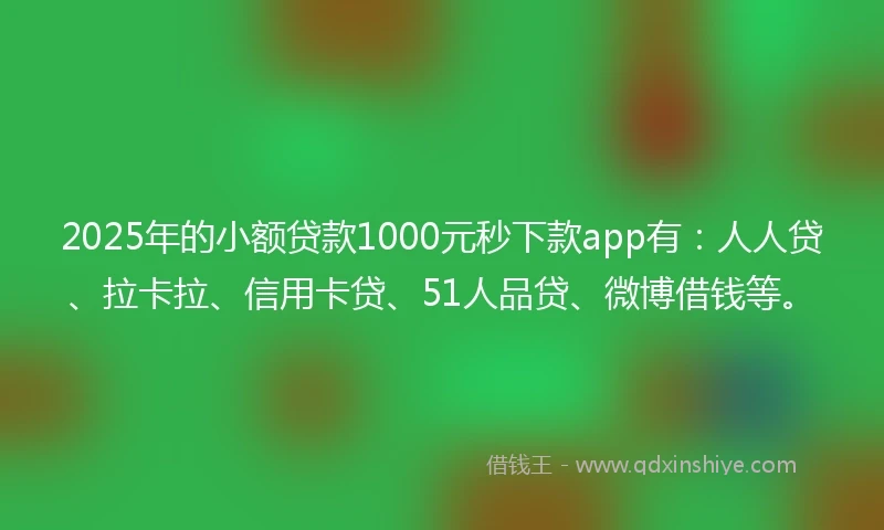 2025年的小额贷款1000元秒下款app有：人人贷、拉卡拉、信用卡贷、51人品贷、微博借钱等。