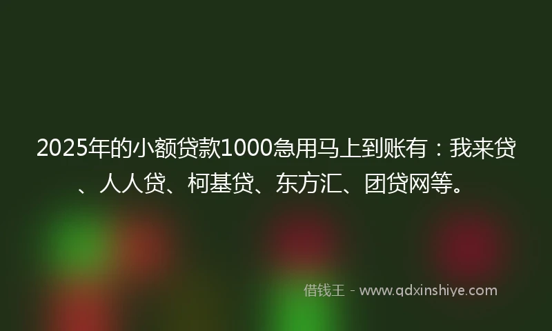 2025年的小额贷款1000急用马上到账有：我来贷、人人贷、柯基贷、东方汇、团贷网等。