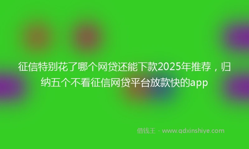 征信特别花了哪个网贷还能下款2025年推荐，归纳五个不看征信网贷平台放款快的app