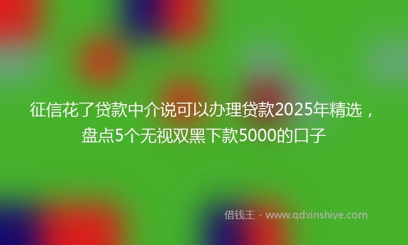 征信花了贷款中介说可以办理贷款2025年精选，盘点5个无视双黑下款5000的口子