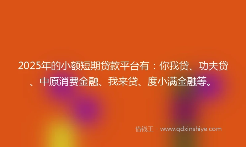 2025年的小额短期贷款平台有：你我贷、功夫贷、中原消费金融、我来贷、度小满金融等。