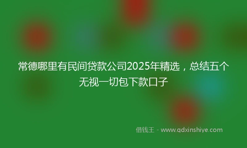 常德哪里有民间贷款公司2025年精选，总结五个无视一切包下款口子