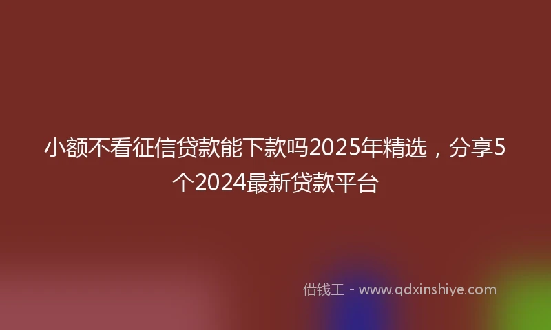 小额不看征信贷款能下款吗2025年精选，分享5个2024最新贷款平台