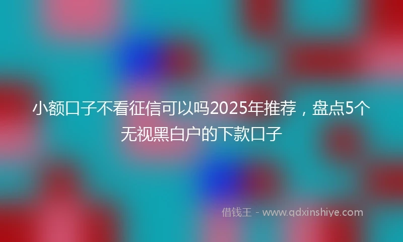小额口子不看征信可以吗2025年推荐，盘点5个无视黑白户的下款口子
