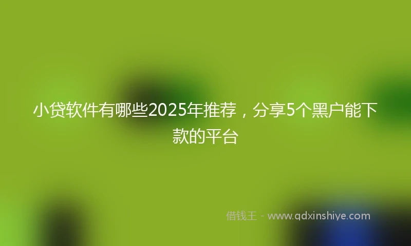 小贷软件有哪些2025年推荐，分享5个黑户能下款的平台