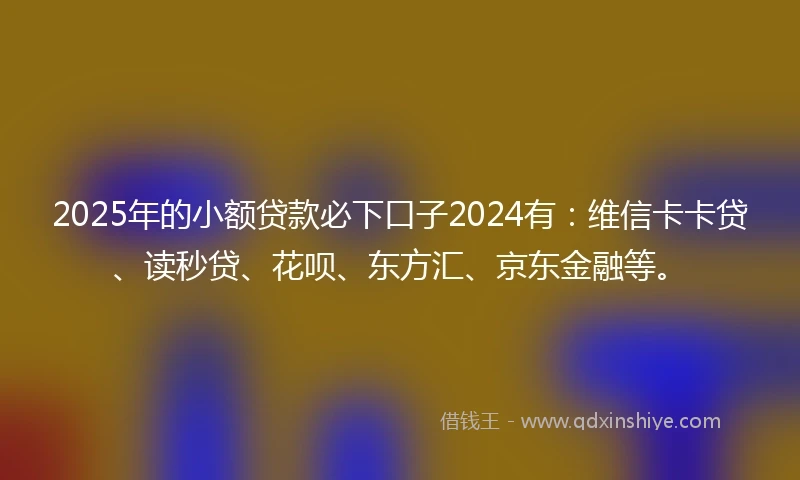 2025年的小额贷款必下口子2024有：维信卡卡贷、读秒贷、花呗、东方汇、京东金融等。
