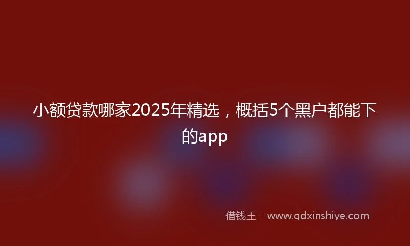 小额贷款哪家2025年精选,概括5个黑户都能下的app