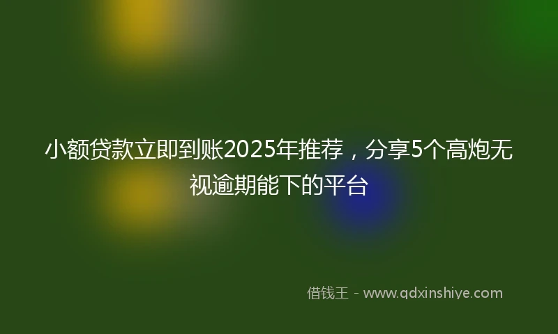 小额贷款立即到账2025年推荐，分享5个高炮无视逾期能下的平台