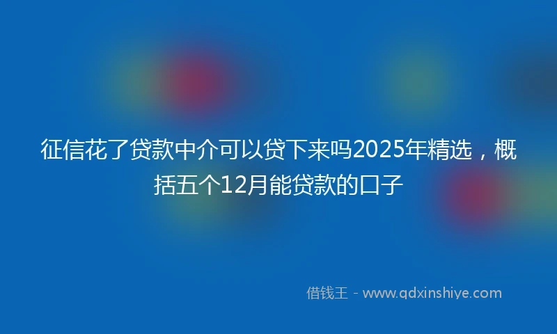 征信花了贷款中介可以贷下来吗2025年精选，概括五个12月能贷款的口子