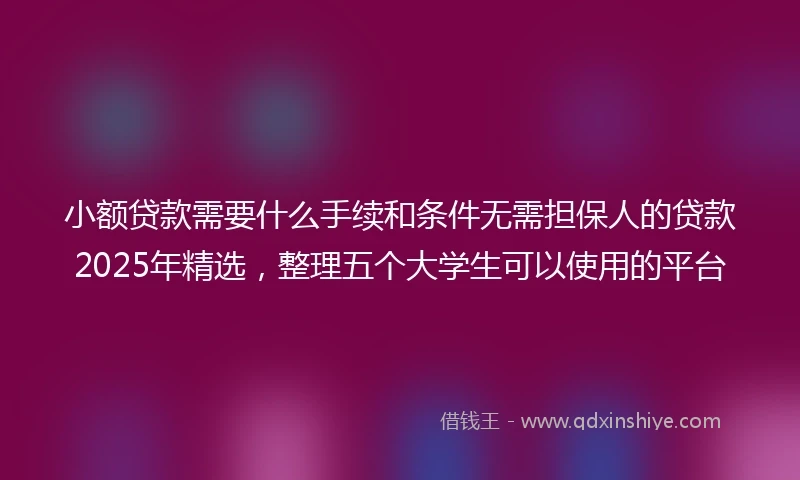小额贷款需要什么手续和条件无需担保人的贷款2025年精选，整理五个大学生可以使用的平台