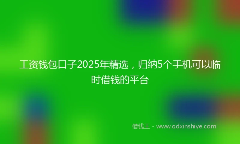 工资钱包口子2025年精选，归纳5个手机可以临时借钱的平台