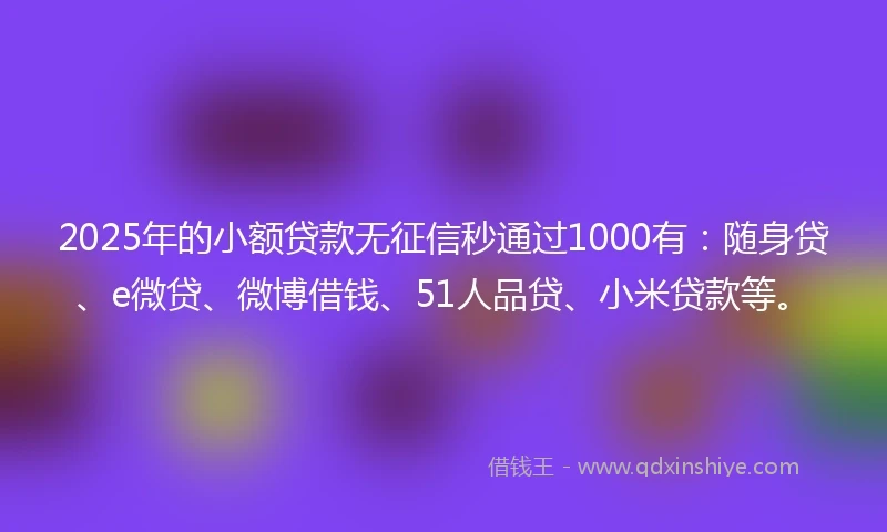 2025年的小额贷款无征信秒通过1000有：随身贷、e微贷、微博借钱、51人品贷、小米贷款等。