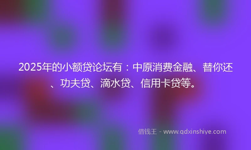2025年的小额贷论坛有：中原消费金融、替你还、功夫贷、滴水贷、信用卡贷等。