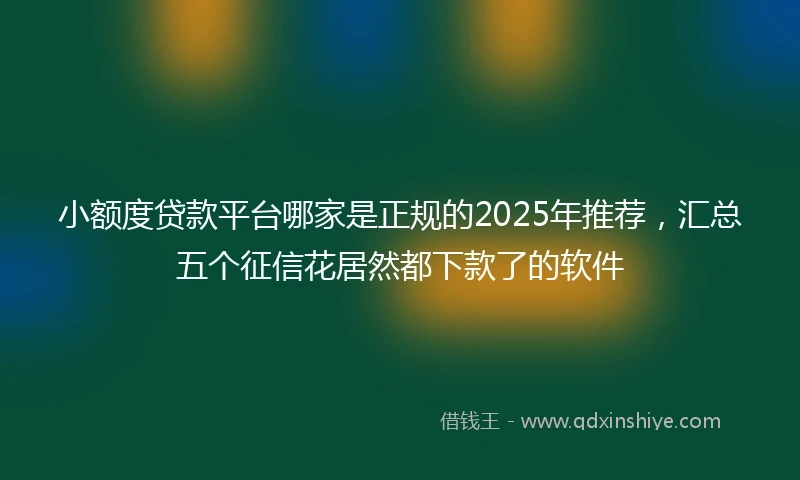 小额度贷款平台哪家是正规的2025年推荐，汇总五个征信花居然都下款了的软件