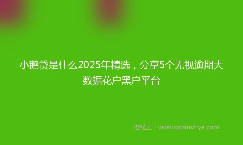 小鹅贷是什么2025年精选，分享5个无视逾期大数据花户黑户平台
