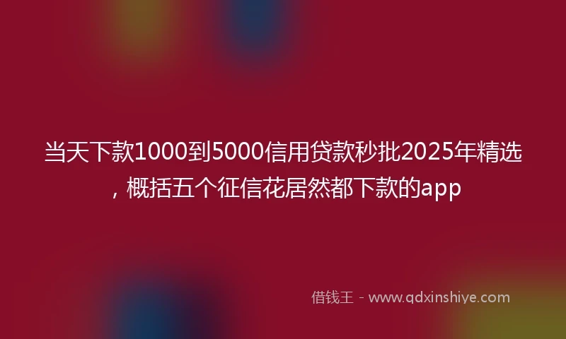 当天下款1000到5000信用贷款秒批2025年精选，概括五个征信花居然都下款的app