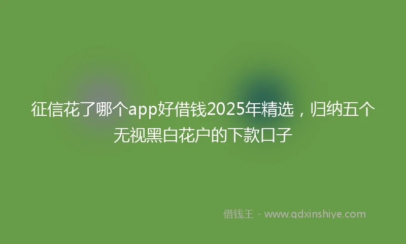 征信花了哪个app好借钱2025年精选，归纳五个无视黑白花户的下款口子