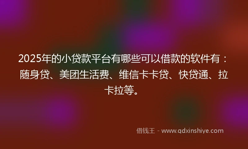 2025年的小贷款平台有哪些可以借款的软件有：随身贷、美团生活费、维信卡卡贷、快贷通、拉卡拉等。