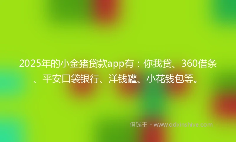 2025年的小金猪贷款app有：你我贷、360借条、平安口袋银行、洋钱罐、小花钱包等。