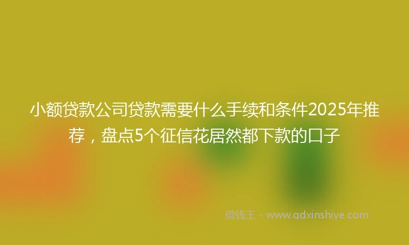 小额贷款公司贷款需要什么手续和条件2025年推荐，盘点5个征信花居然都下款的口子