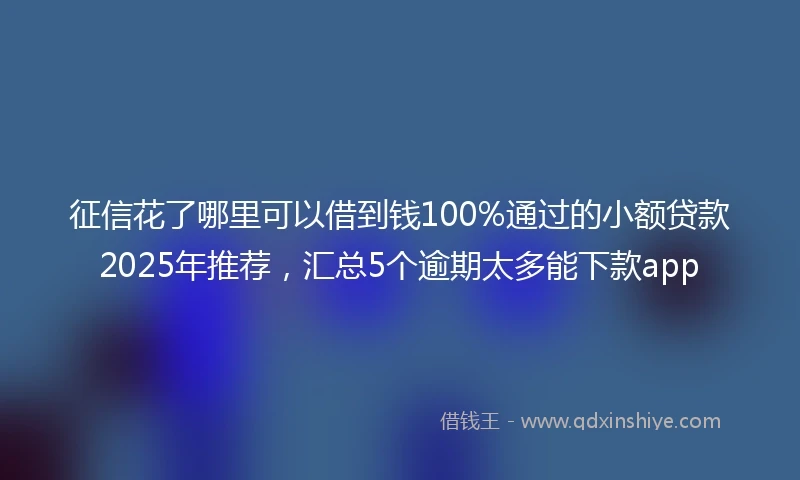 征信花了哪里可以借到钱100%通过的小额贷款2025年推荐，汇总5个逾期太多能下款app