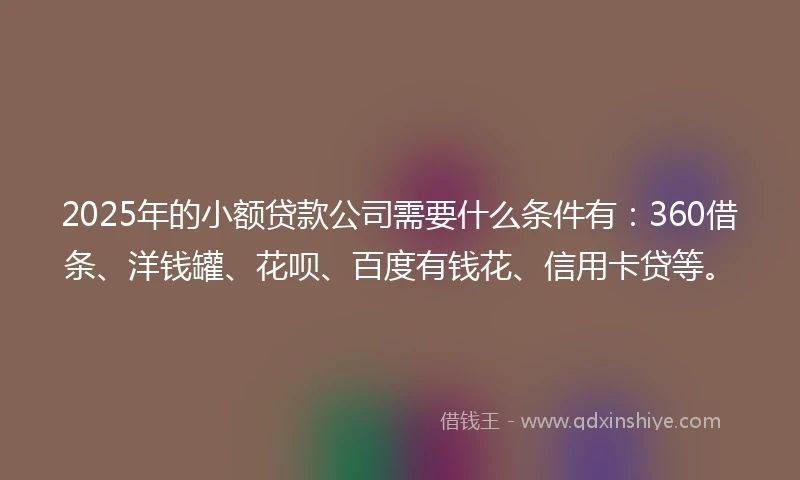 2025年的小额贷款公司需要什么条件有：360借条、洋钱罐、花呗、百度有钱花、信用卡贷等。