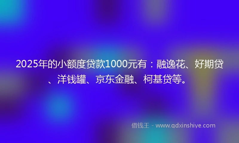 2025年的小额度贷款1000元有：融逸花、好期贷、洋钱罐、京东金融、柯基贷等。