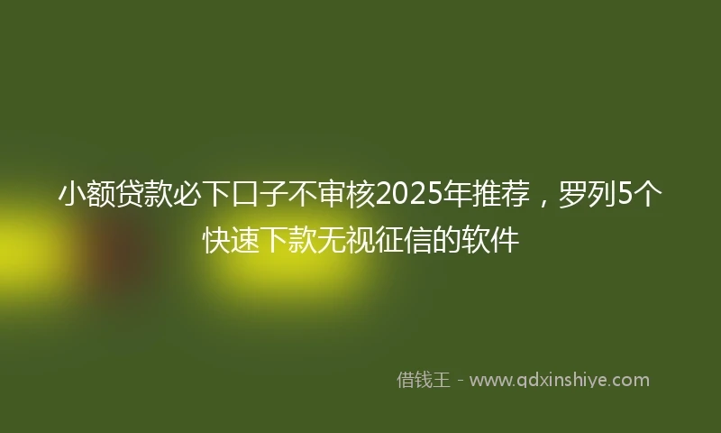 小额贷款必下口子不审核2025年推荐，罗列5个快速下款无视征信的软件